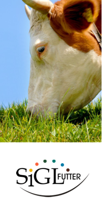 Futter für Rinder, Geflügel, Schweine, Schafe, Kaninchen, Chinchilla